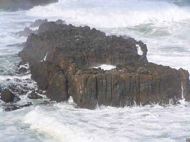 The Catlins Coast 019.jpg